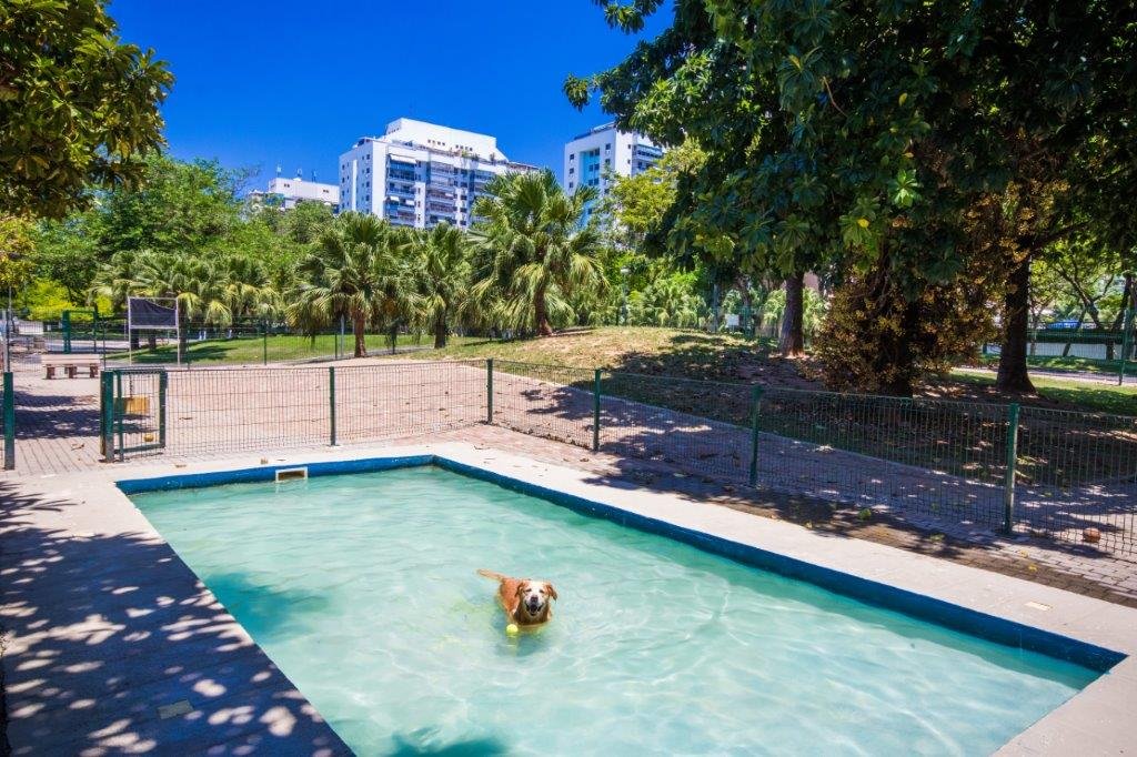Piscina para pets no parque do condomínio Rio2